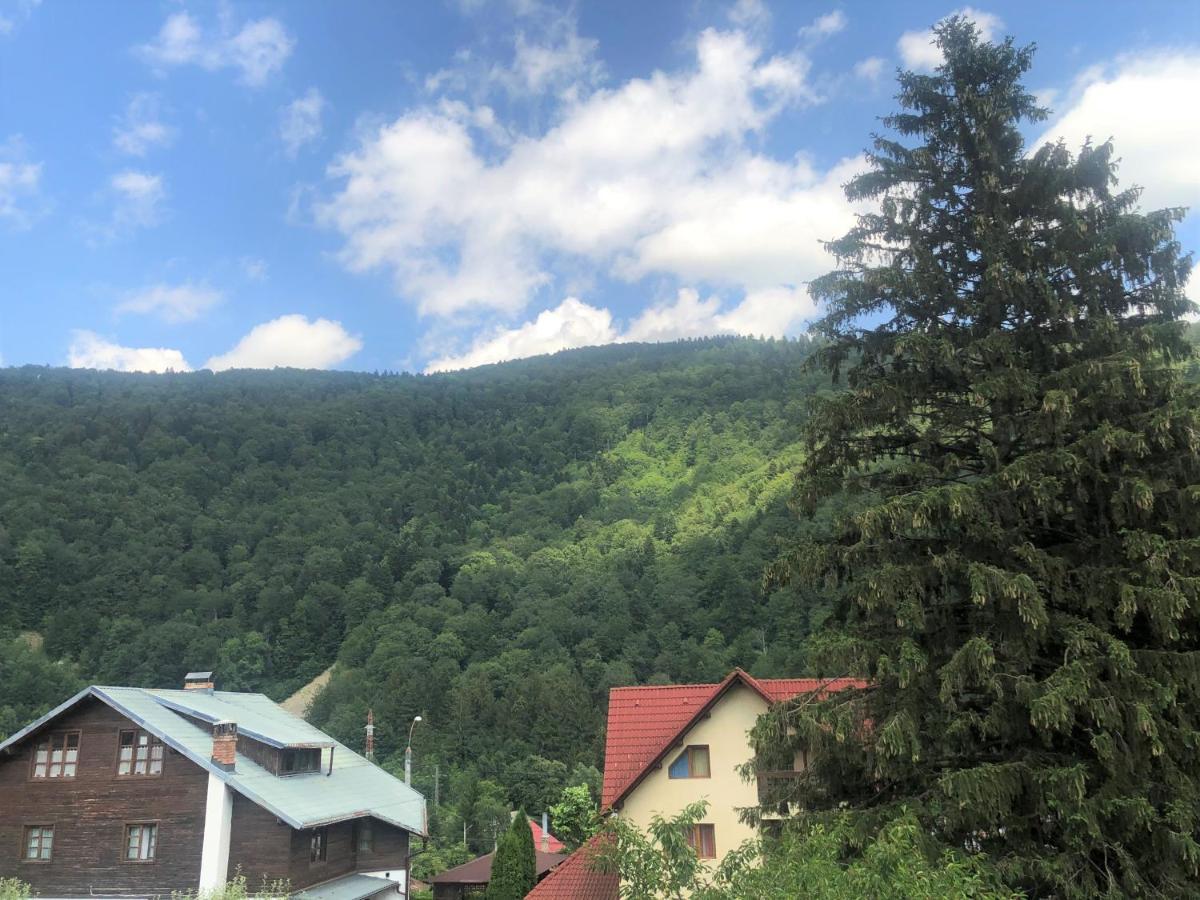 Holiday Home In Sinaia Exterior foto
