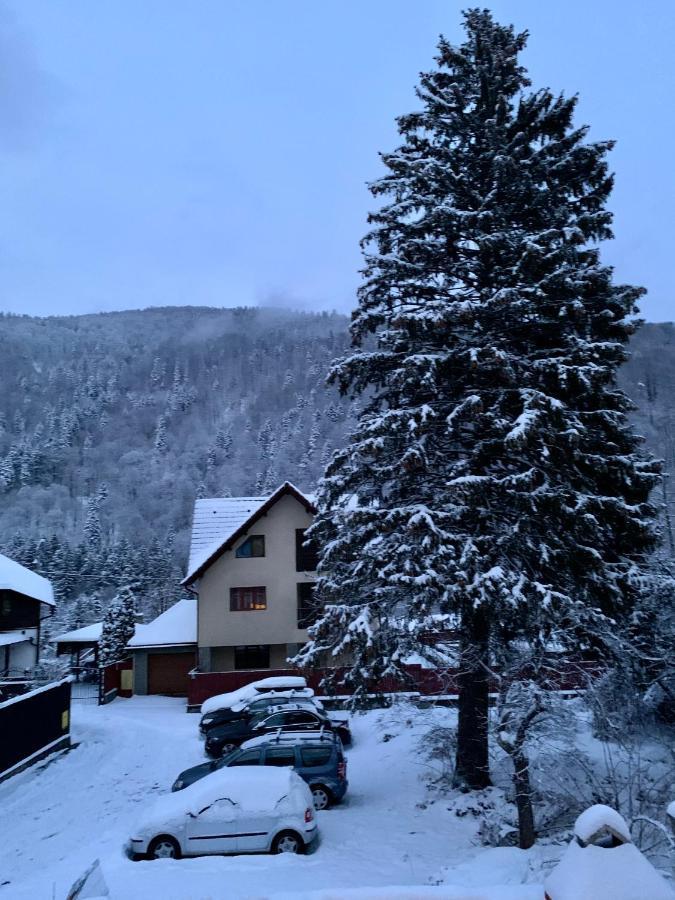 Holiday Home In Sinaia Exterior foto